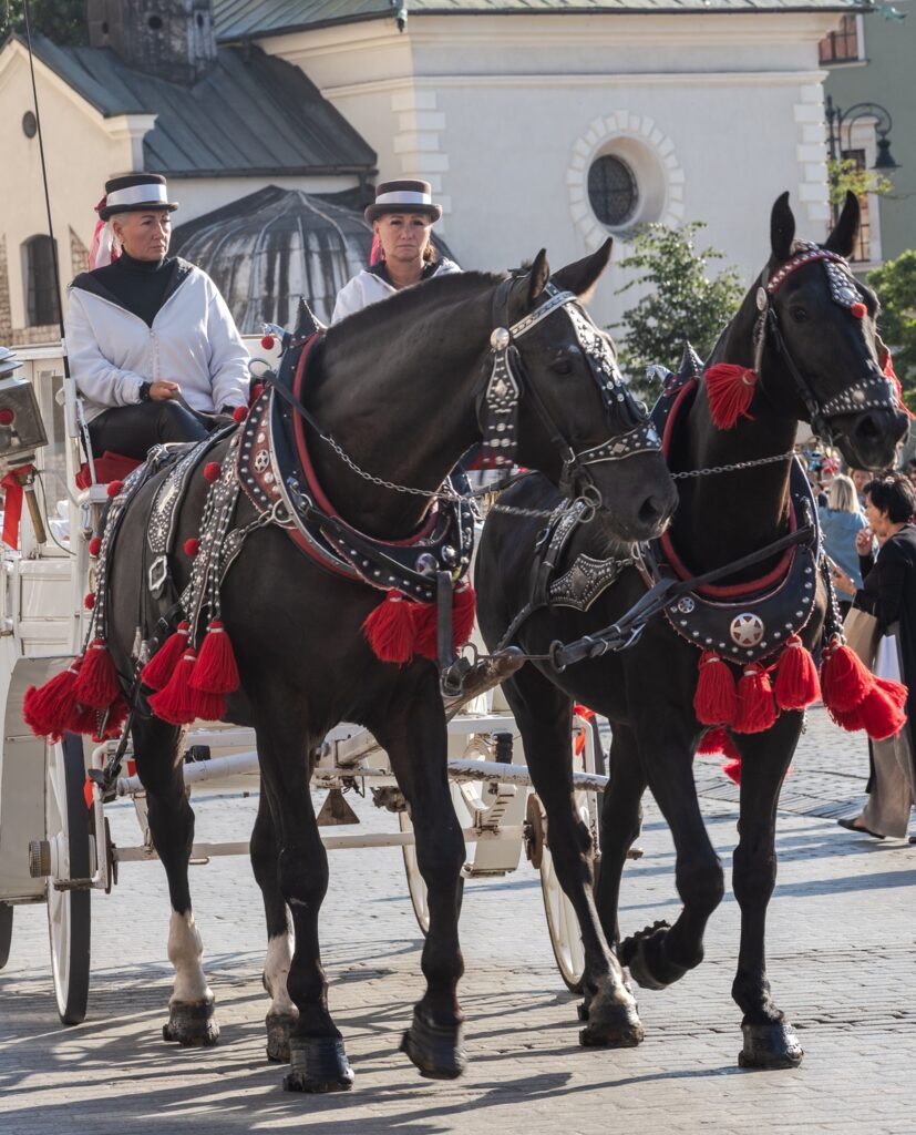 Polonia on the road: itinerario di 11 giorni tra Breslavia, Cracovia, Varsavia e Danzica 3 itinerario Polonia 11 giorni - Carrozza con cavalli nel centro storico di Cracovia