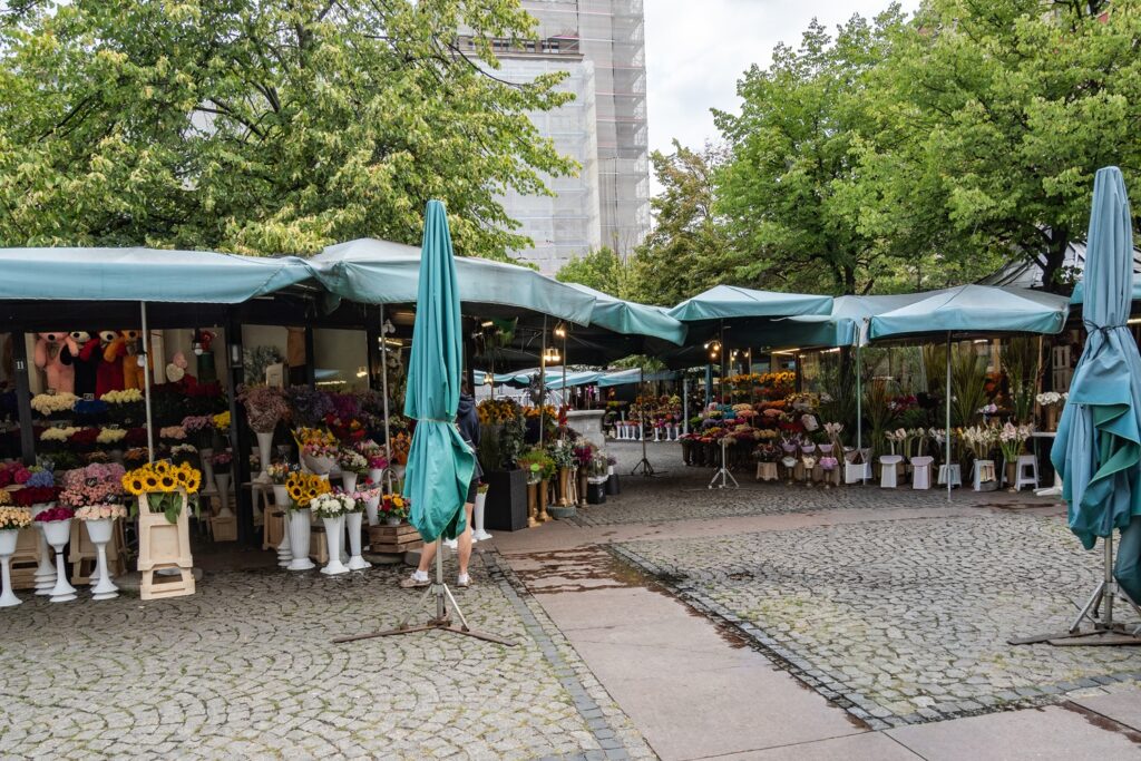 Plac Solny Breslavia bancarelle di fiori piazza del sale