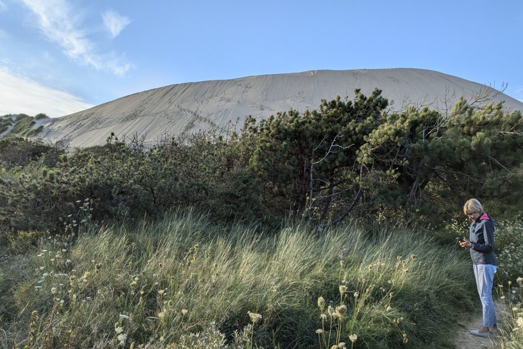 Danimarca on the Road: il viaggio che non ti aspetti 10 La grande duna di sabbia di Rubjerg Knude si innalza tra la vegetazione della costa occidentale della Danimarca, poco prima della salita verso il celebre faro.