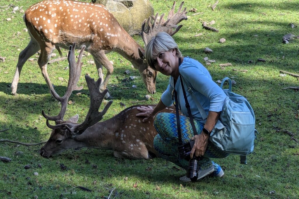 Danimarca on the Road: il viaggio che non ti aspetti 18 Patrizia accarezza un daino nel Marselisborg Deer Park di Aarhus, dove cervi e daini vivono liberi e si avvicinano senza timore ai visitatori.